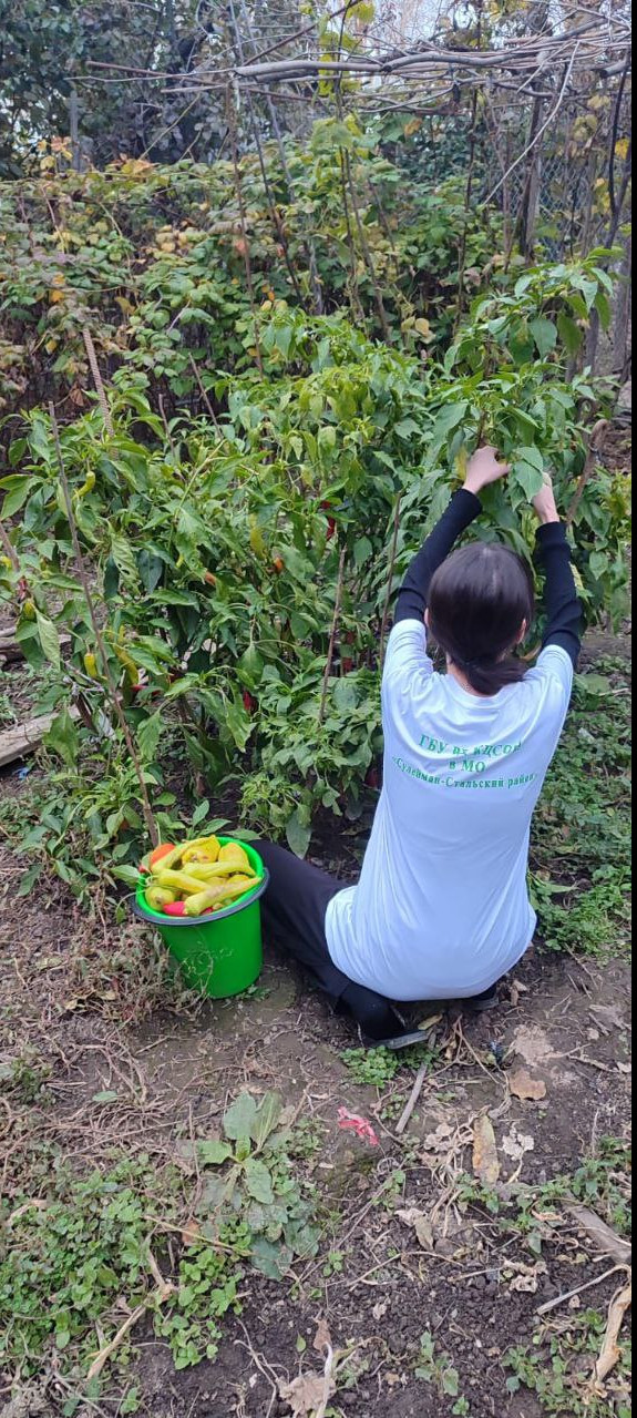 ПОМОЩЬ ВОЛОНТЕРОВ ПОЖИЛЫМ ГРАЖДАНАМ